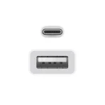 Apple USB-C to USB Adapter