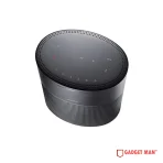 Bose Home Speaker 300