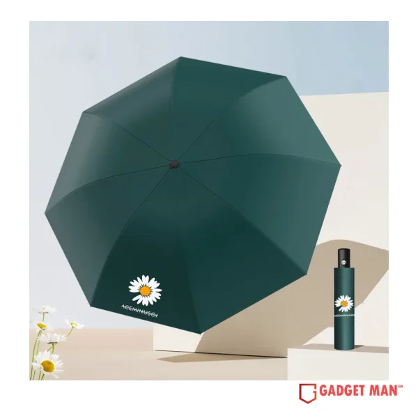 Daisy Shield Auto Umbrella