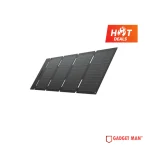EcoFlow 60W Portable Solar Panel