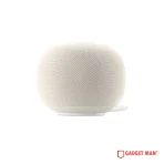 Google Home Speaker with Gemini - 2026