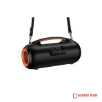 Hoco DS67 Bluetooth Party Speaker with 2 Wireless Microphones