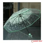 Sakura Printed 21-inch 8-rib Transparent Umbrella