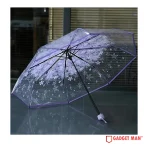 Sakura Printed 21-inch 8-rib Transparent Umbrella