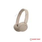 Sony WH-CH520 Overhead Headphone