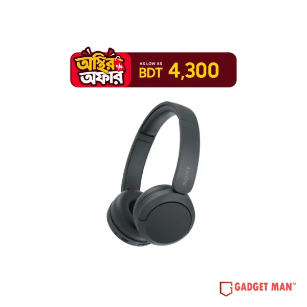 Sony WH-CH520 Overhead Headphone