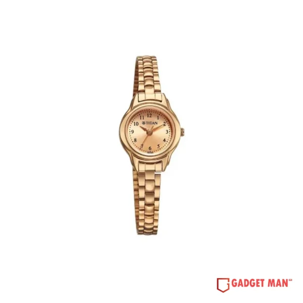 Titan Karishma Quartz 2401WM01 Analog Stainless Steel Strap Women’s Watch