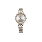 Titan Raga 95282KM01 Showstopper Quartz Stainless Steel Strap Women's Watch